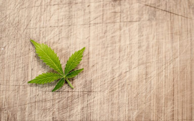 Źródła medycznej marihuany – jak ją otrzymać legalnie w Polsce?