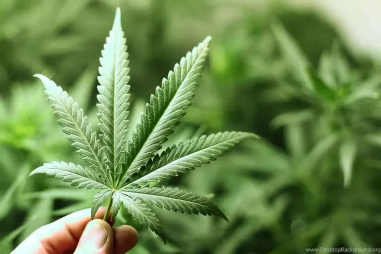 Medyczna marihuana – jak dostać receptę?